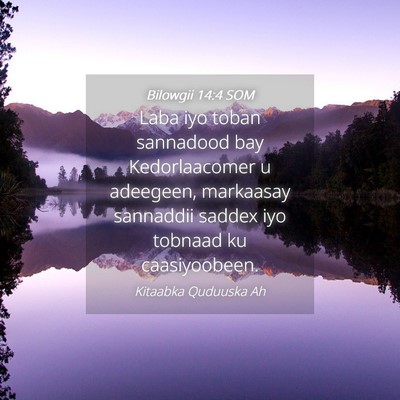 Picture 04 - Bilowgii 14:4 SOM - Laba iyo toban sannadood bay Kedorlaacomer u - Bible Verse Picture
