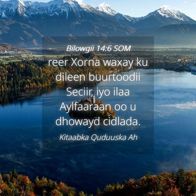 Picture 04 - Bilowgii 14:6 SOM - reer Xorna waxay ku dileen buurtoodii Seciir, iyo - Bible Verse Picture