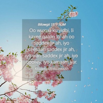 Picture 04 - Bilowgii 15:9 SOM - Oo wuxuu ku yidhi, Ii kaxee qaalin lo' ah oo - Bible Verse Picture