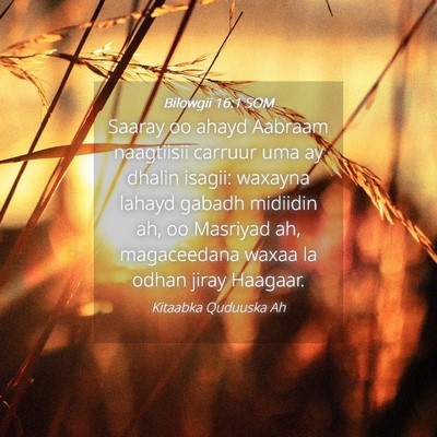 Picture 04 - Bilowgii 16:1 SOM - Saaray oo ahayd Aabraam naagtiisii carruur uma ay - Bible Verse Picture