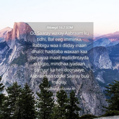 Picture 04 - Bilowgii 16:2 SOM - Oo Saaray waxay Aabraam ku tidhi, Bal eeg - Bible Verse Picture