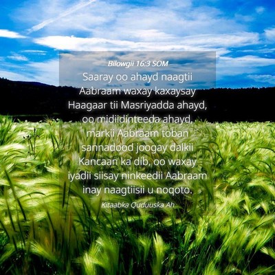 Picture 04 - Bilowgii 16:3 SOM - Saaray oo ahayd naagtii Aabraam waxay kaxaysay - Bible Verse Picture