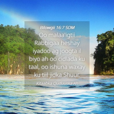 Picture 04 - Bilowgii 16:7 SOM - Oo malaa'igtii Rabbigaa heshay iyadoo ag joogta - Bible Verse Picture