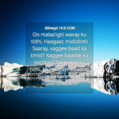 Picture 04 - Bilowgii 16:8 SOM - Oo malaa'igtii waxay ku tidhi, Haagaar, - Bible Verse Picture