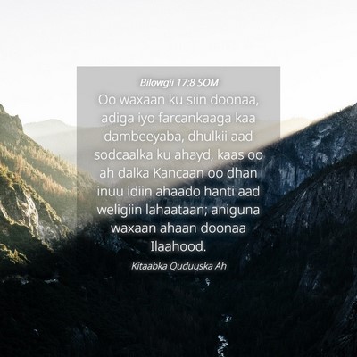 Picture 04 - Bilowgii 17:8 SOM - Oo waxaan ku siin doonaa, adiga iyo farcankaaga - Bible Verse Picture