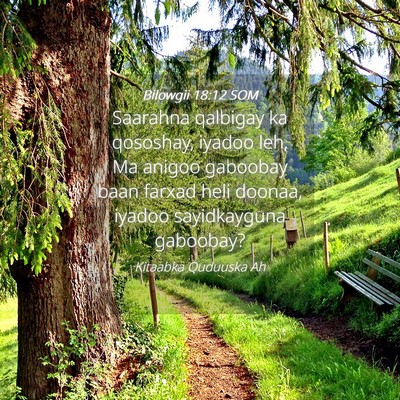 Picture 04 - Bilowgii 18:12 SOM - Saarahna qalbigay ka qososhay, iyadoo leh, Ma - Bible Verse Picture