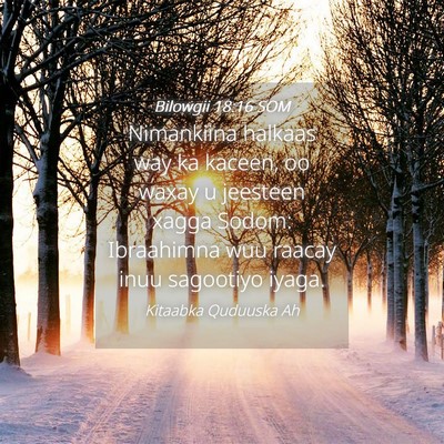 Picture 04 - Bilowgii 18:16 SOM - Nimankiina halkaas way ka kaceen, oo waxay u - Bible Verse Picture