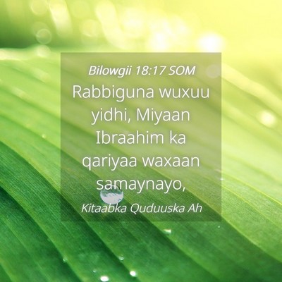 Picture 04 - Bilowgii 18:17 SOM - Rabbiguna wuxuu yidhi, Miyaan Ibraahim ka qariyaa - Bible Verse Picture
