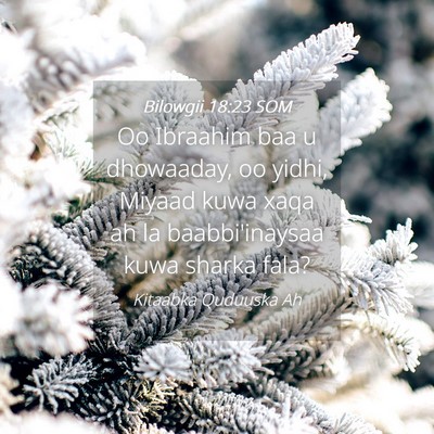 Picture 04 - Bilowgii 18:23 SOM - Oo Ibraahim baa u dhowaaday, oo yidhi, Miyaad - Bible Verse Picture