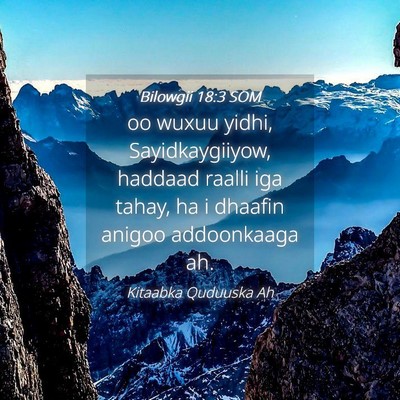 Picture 04 - Bilowgii 18:3 SOM - oo wuxuu yidhi, Sayidkaygiiyow, haddaad raalli - Bible Verse Picture