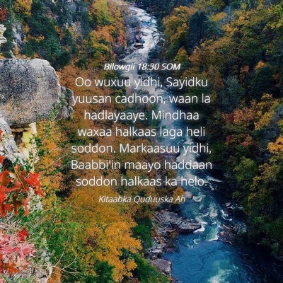 Picture 04 - Bilowgii 18:30 SOM - Oo wuxuu yidhi, Sayidku yuusan cadhoon, waan la - Bible Verse Picture