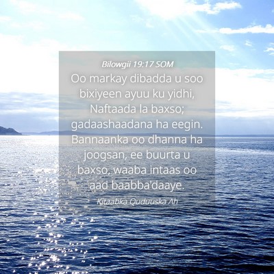 Picture 04 - Bilowgii 19:17 SOM - Oo markay dibadda u soo bixiyeen ayuu ku yidhi, - Bible Verse Picture