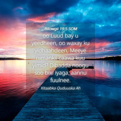 Picture 04 - Bilowgii 19:5 SOM - oo Luud bay u yeedheen, oo waxay ku yidhaahdeen, - Bible Verse Picture