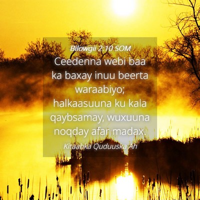 Picture 04 - Bilowgii 2:10 SOM - Ceedenna webi baa ka baxay inuu beerta waraabiyo; - Bible Verse Picture