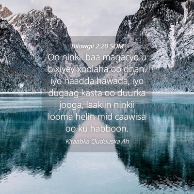 Picture 04 - Bilowgii 2:20 SOM - Oo ninkii baa magacyo u bixiyey xoolaha oo dhan, - Bible Verse Picture