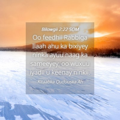Picture 04 - Bilowgii 2:22 SOM - Oo feedhii Rabbiga Ilaah ahu ka bixiyey ninka - Bible Verse Picture