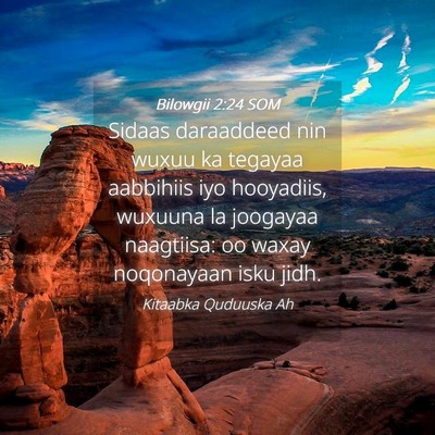 Picture 04 - Bilowgii 2:24 SOM - Sidaas daraaddeed nin wuxuu ka tegayaa aabbihiis - Bible Verse Picture