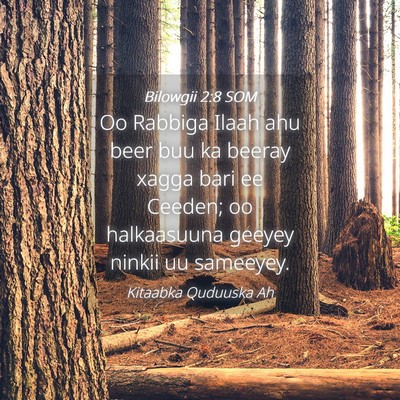 Picture 04 - Bilowgii 2:8 SOM - Oo Rabbiga Ilaah ahu beer buu ka beeray xagga - Bible Verse Picture