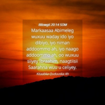 Picture 04 - Bilowgii 20:14 SOM - Markaasaa Abimeleg wuxuu waday ido iyo dibiyo, - Bible Verse Picture