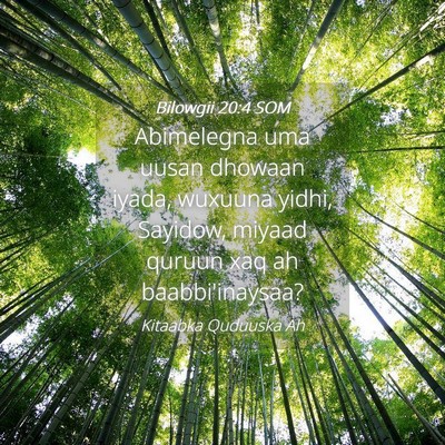 Picture 04 - Bilowgii 20:4 SOM - Abimelegna uma uusan dhowaan iyada, wuxuuna - Bible Verse Picture