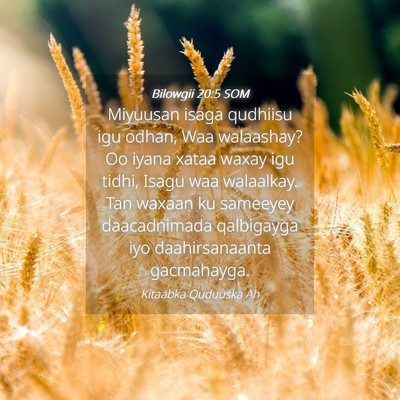 Picture 04 - Bilowgii 20:5 SOM - Miyuusan isaga qudhiisu igu odhan, Waa walaashay? - Bible Verse Picture