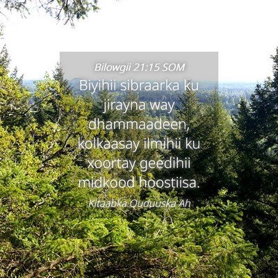 Picture 04 - Bilowgii 21:15 SOM - Biyihii sibraarka ku jirayna way dhammaadeen, - Bible Verse Picture