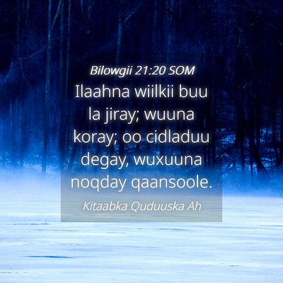 Picture 04 - Bilowgii 21:20 SOM - Ilaahna wiilkii buu la jiray; wuuna koray; oo - Bible Verse Picture