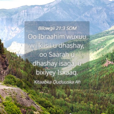 Picture 04 - Bilowgii 21:3 SOM - Oo Ibraahim wuxuu wiilkiisii u dhashay, oo Saarah - Bible Verse Picture