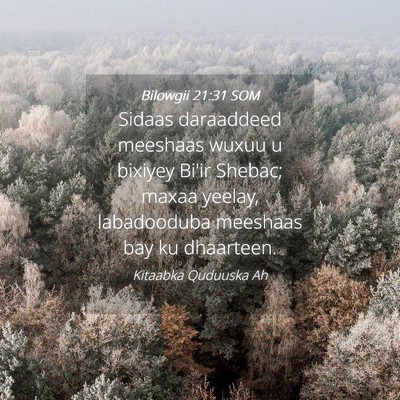 Picture 04 - Bilowgii 21:31 SOM - Sidaas daraaddeed meeshaas wuxuu u bixiyey Bi'ir - Bible Verse Picture