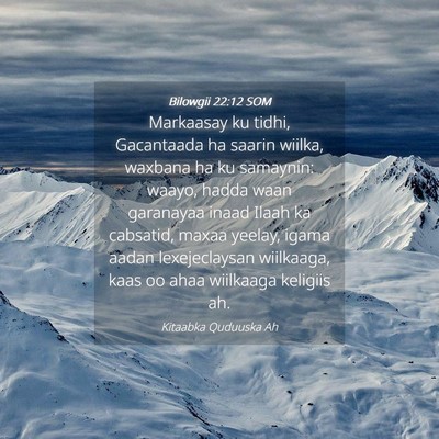 Picture 04 - Bilowgii 22:12 SOM - Markaasay ku tidhi, Gacantaada ha saarin wiilka, - Bible Verse Picture