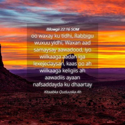 Picture 04 - Bilowgii 22:16 SOM - oo waxay ku tidhi, Rabbigu wuxuu yidhi, Waxan aad - Bible Verse Picture