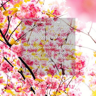Picture 04 - Bilowgii 22:17 SOM - inaan barako ku barakayn doono, oo aan - Bible Verse Picture