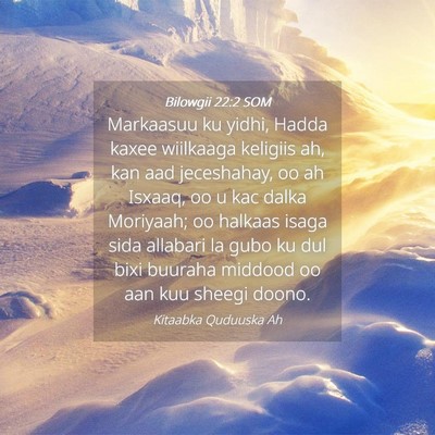 Picture 04 - Bilowgii 22:2 SOM - Markaasuu ku yidhi, Hadda kaxee wiilkaaga - Bible Verse Picture