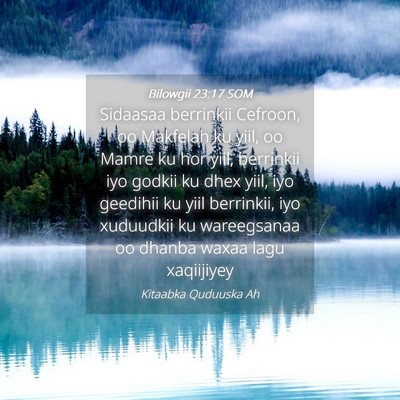 Picture 04 - Bilowgii 23:17 SOM - Sidaasaa berrinkii Cefroon, oo Makfelah ku yiil, - Bible Verse Picture