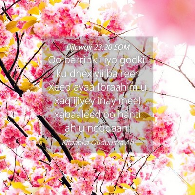 Picture 04 - Bilowgii 23:20 SOM - Oo berrinkii iyo godkii ku dhex yiilba reer Xeed - Bible Verse Picture