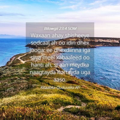 Picture 04 - Bilowgii 23:4 SOM - Waxaan ahay shisheeye sodcaal ah oo idin dhex - Bible Verse Picture