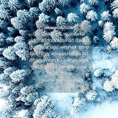 Picture 04 - Bilowgii 24:2 SOM - Oo Ibraahim, wuxuu ku yidhi addoonkiisii oo dadka - Bible Verse Picture