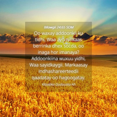 Picture 04 - Bilowgii 24:65 SOM - Oo waxay addoonkii ku tidhi, Waa ayo ninkaas - Bible Verse Picture