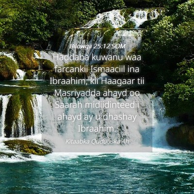 Picture 04 - Bilowgii 25:12 SOM - Haddaba kuwanu waa farcankii Ismaaciil ina - Bible Verse Picture