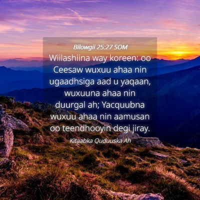 Picture 04 - Bilowgii 25:27 SOM - Wiilashiina way koreen: oo Ceesaw wuxuu ahaa nin - Bible Verse Picture