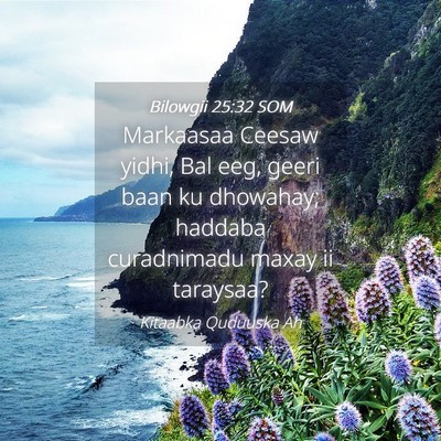 Picture 04 - Bilowgii 25:32 SOM - Markaasaa Ceesaw yidhi, Bal eeg, geeri baan ku - Bible Verse Picture