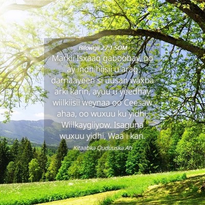 Picture 04 - Bilowgii 27:1 SOM - Markii Isxaaq gaboobay, oo ay indhihiisii u arag - Bible Verse Picture