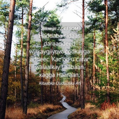 Picture 04 - Bilowgii 27:43 SOM - Haddaba sidaas daraaddeed wiilkaygiiyow, codkayga - Bible Verse Picture
