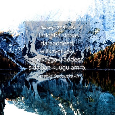 Picture 04 - Bilowgii 27:8 SOM - Haddaba sidaas daraaddeed, wiilkaygiiyow, - Bible Verse Picture