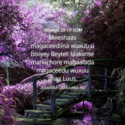 Picture 04 - Bilowgii 28:19 SOM - Meeshaas magaceediina wuxuu u bixiyey Beytel: - Bible Verse Picture