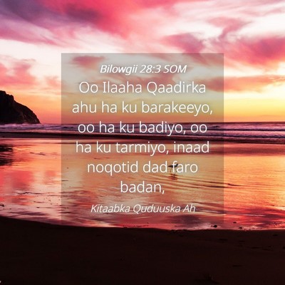 Picture 04 - Bilowgii 28:3 SOM - Oo Ilaaha Qaadirka ahu ha ku barakeeyo, oo ha ku - Bible Verse Picture