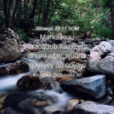 Picture 04 - Bilowgii 29:11 SOM - Markaasuu Yacquub Raaxeel dhunkaday, wuuna - Bible Verse Picture