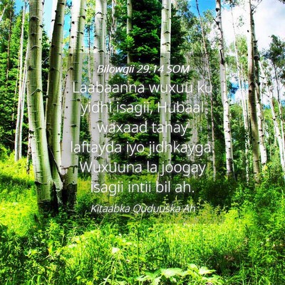 Picture 04 - Bilowgii 29:14 SOM - Laabaanna wuxuu ku yidhi isagii, Hubaal waxaad - Bible Verse Picture