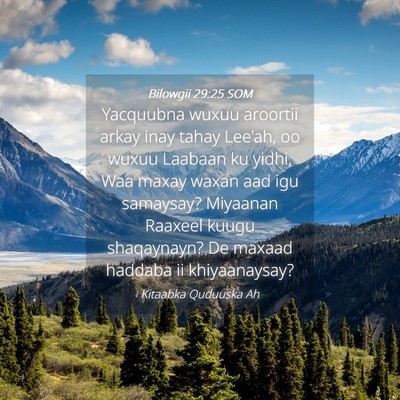 Picture 04 - Bilowgii 29:25 SOM - Yacquubna wuxuu aroortii arkay inay tahay Lee'ah, - Bible Verse Picture
