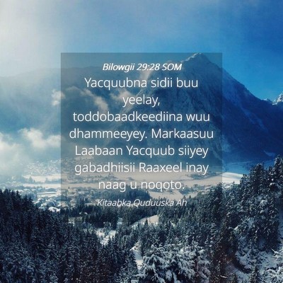 Picture 04 - Bilowgii 29:28 SOM - Yacquubna sidii buu yeelay, toddobaadkeediina wuu - Bible Verse Picture